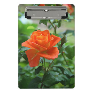 Naturrosa-Rose-Blume Mini Klemmbrett