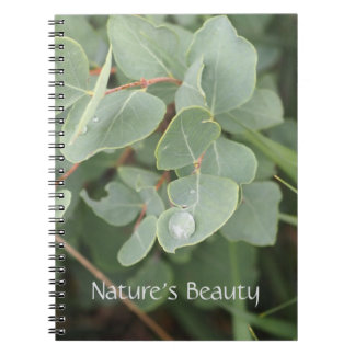Naturschönheit Regentropfen Spiral Foto Notizbuch Notizblock