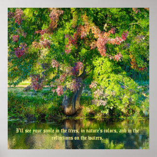 Naturschutz von SkyRidge Poster