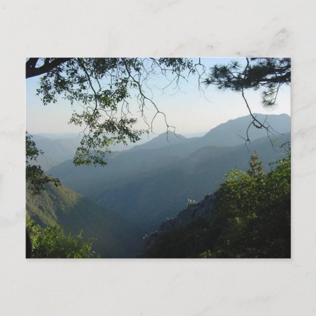 Naturschutzfenster II Postkarte (Vorderseite)