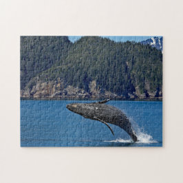 Naturschutzgebiet Humpback Whale Wildlife Foto