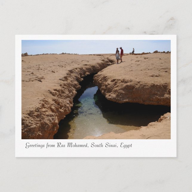 Naturschutzpark Ras Mohamed, Sinai, Ägypten Postkarte (Vorderseite)