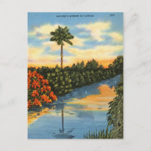 Naturspiegel in Florida Postkarte