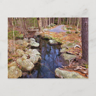 Naturstrom Postkarte