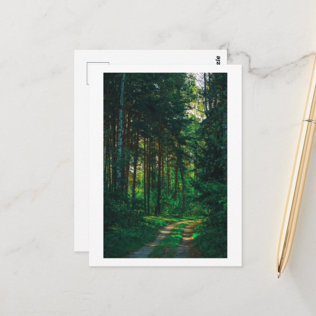 Naturwald Birch Bäume Landschaftsstraße Postkarte (Vorderseite/Rückseite Beispiel)