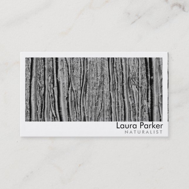 Naturwald Birch Tree Care Landschaftsbild Rasen Visitenkarte (Vorderseite)