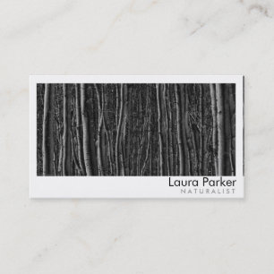 Naturwald Birch Tree Care Landschaftsbild Rasen Visitenkarte