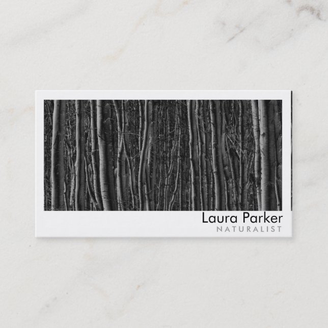 Naturwald Birch Tree Care Landschaftsbild Rasen Visitenkarte (Vorderseite)