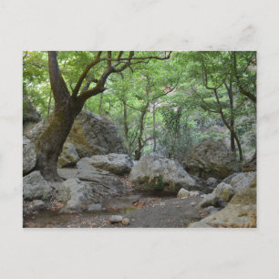 Naturwanderung Postkarte