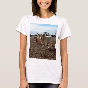 Naughty Highland Kühe Ate all Crop, T-Shirt