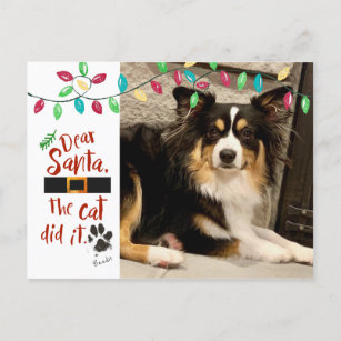 Naughty Hund Funny Lieber Santa Letter Foto Name Feiertagspostkarte