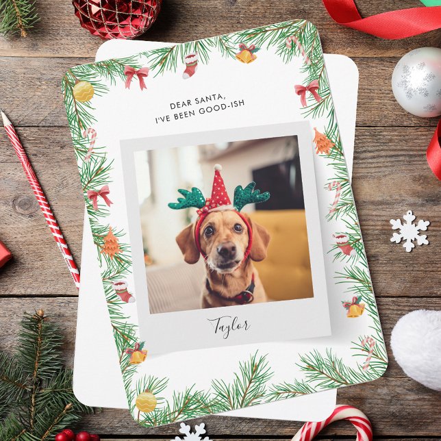 Naughty oder Nice Funny Dog Foto Weihnachten (Naughty or Nice Funny Dog Photo Christmas Holiday Card)