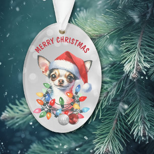 Naughty Père Noël Chihuahua dans les décorations