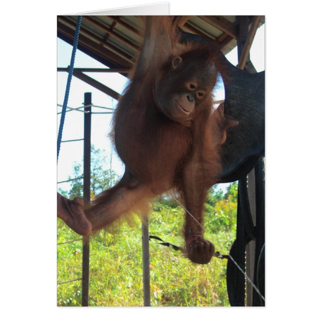 Naughty Primate Potty Break (Devant)