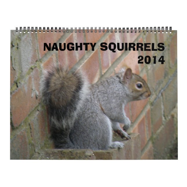 Naughty Squirrels 2014 Calendrier (Protection)