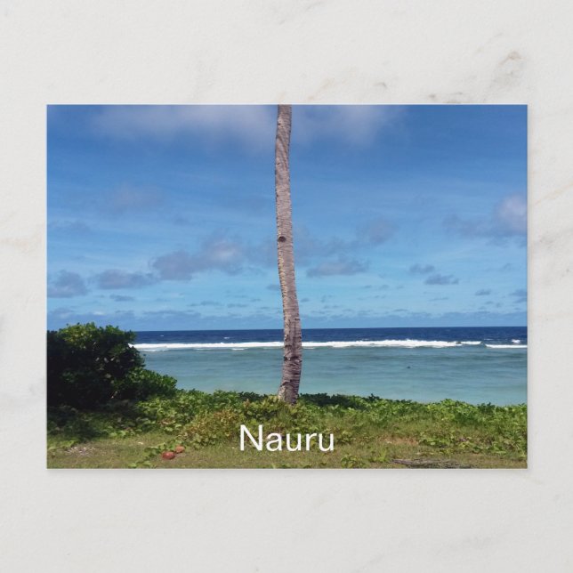 Naurusbaum Postkarte (Vorderseite)