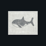 Nautical Killer Whale Leinwanddruck<br><div class="desc">"Whale of a Tale" von Chariklia Zarris. Ein Killerwal auf einem nautischen Hintergrund.</div>