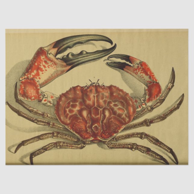 Nautical Red Crab Ephemera Decoupage Seidenpapier (Vorderseite)