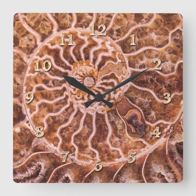 NAUTILUS ALTE SPIRALE QUADRATISCHE WANDUHR (Vorderseite)