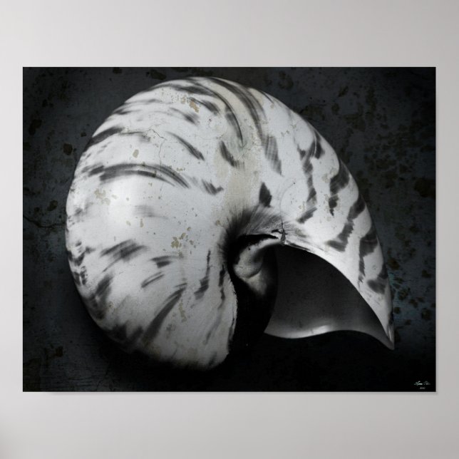 Nautilus BW Poster (Vorne)