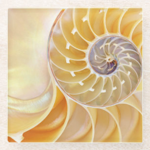 Nautilus-Glas-Untersetzer Glasuntersetzer