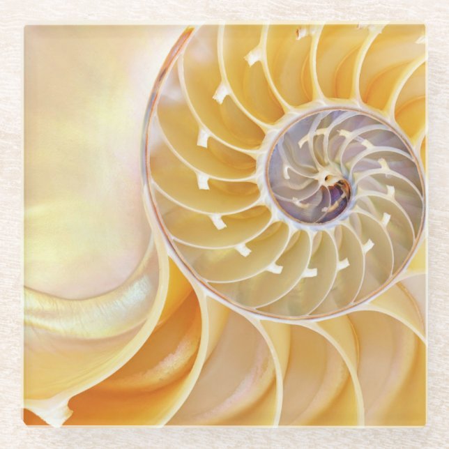 Nautilus-Glas-Untersetzer Glasuntersetzer (Vorderseite)