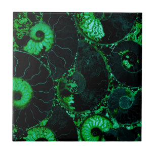 Nautilus-grüne Muschel Fliese