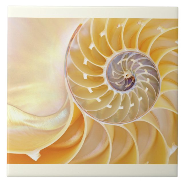 Nautilus Keramik Tile Fliese (Vorderseite)