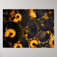 Nautilus-Muschel abstraktes Meeresfossilienmuster