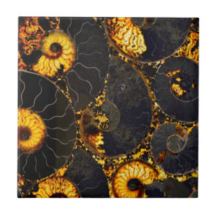 Nautilus-Muschel Fliese