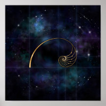 Nautilus-Muschel - Heilige Geometrie