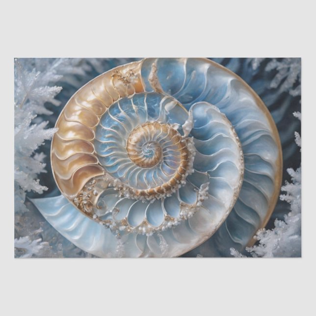 Nautilus-Muschel im Dekoupage-Tissue-Papier Seidenpapier (Vorderseite)