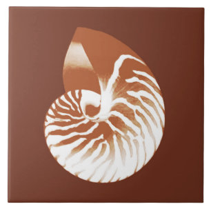Nautilus-Muschel - Kakaobraun und weiß Fliese