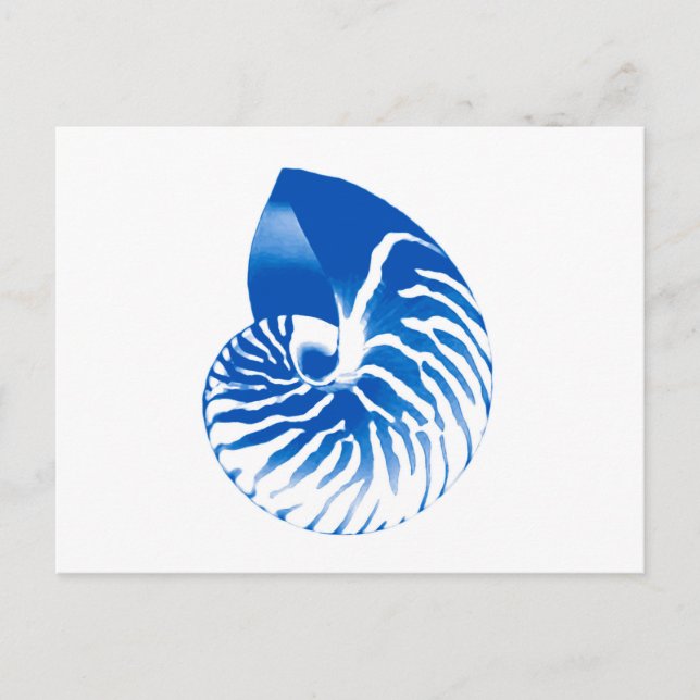 Nautilus-Muschel - Kobaltblau und weiß Postkarte (Vorderseite)