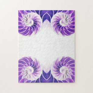 Nautilus Muschel Muschel Fibonacci Swirl