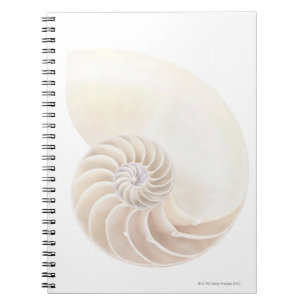 Nautilus-Muschel Notizblock