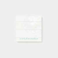 Nautilus-Muschel