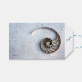 nautilus Muschel seashell Fibonacci Spiralgeschenk Geschenkanhänger