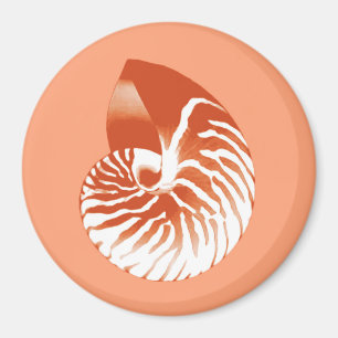 Nautilus-Muschel - Terrakotta und Weiß Magnet
