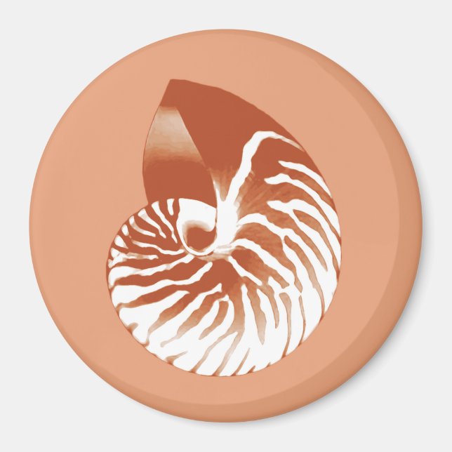 Nautilus-Muschel - Terrakotta und Weiß Magnet (Vorne)