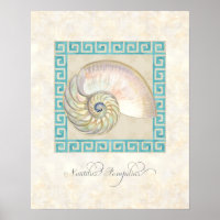 Nautilus Muschel Wasserfarbe Griechischer Schlüsse