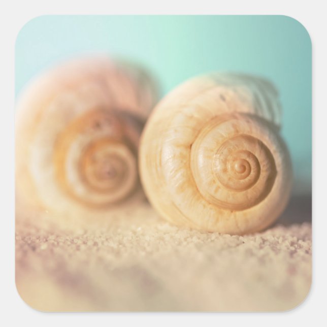 Nautilus-Muscheln am Strand Quadratischer Aufkleber (Vorderseite)