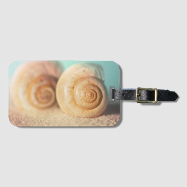 Nautilus-Muscheln auf Strand Gepäckanhänger (Vorderseite (Horizontal))
