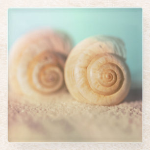 Nautilus-Muscheln auf Strand Glasuntersetzer