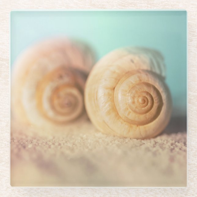 Nautilus-Muscheln auf Strand Glasuntersetzer (Vorderseite)