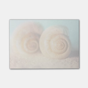Nautilus-Muscheln auf Strand Post-it Klebezettel