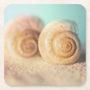 Nautilus-Muscheln auf Strand Rechteckiger Pappuntersetzer