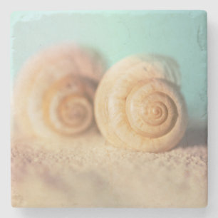 Nautilus-Muscheln auf Strand Steinuntersetzer