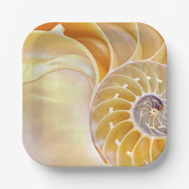 Nautilus Papierplatte Pappteller (Vorderseite)