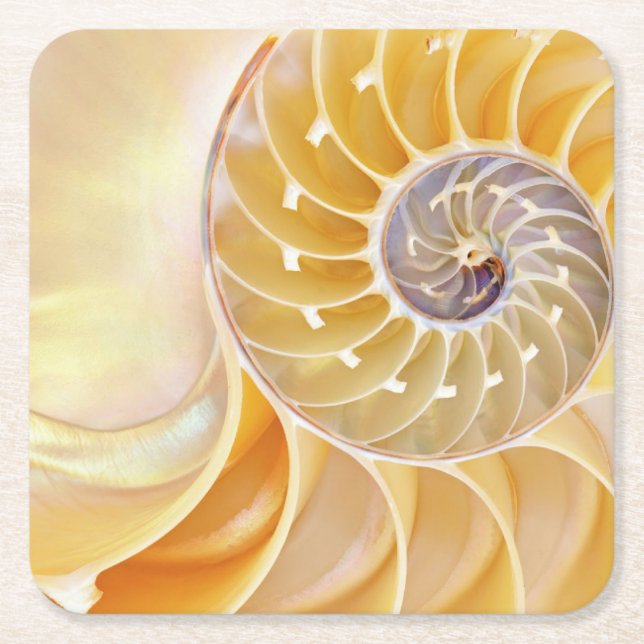 Nautilus Rechteckiger Pappuntersetzer (Vorderseite)